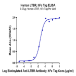 Human LTBR Protein BP004701 Syd Labs