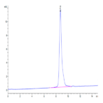 Human LTK Potein BP003648 Syd Labs