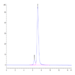 Cynomolgus LY75/CD205 Protein BP003571 Syd Labs