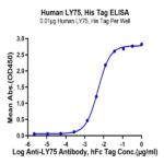 Human LY75/CD205 Protein BP004326 Syd Labs