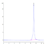 Mouse LY6A Protein BP003268 Syd Labs