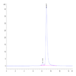 Human LY6G6F Protein BP003448 Syd Labs