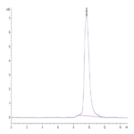 Monkeypox virus M1R Protein BP003595 Syd Labs