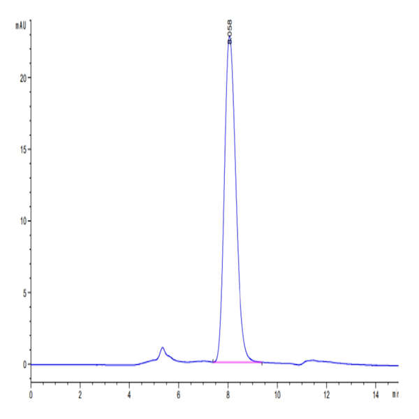 Human Siglec-4a/MAG Protein (MAG-HM101)