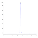 Human MCEMP1 Protein BP004696 Syd Labs