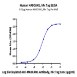 Human MADCAM1 Protein BP003459 Syd Labs