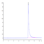 Cynomolgus MCP-1/CCL2 Protein BP003666 Syd Labs