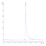 Human MCP-1/CCL2 Protein BP005600 Syd Labs