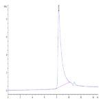 Biotinylated Human MCP-1/CCL2 Protein BP005601 Syd Labs