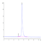 Human MERTK/Mer Protein BP004041 Syd Labs