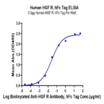 Human HGF R/c-MET Protein BP004755 Syd Labs