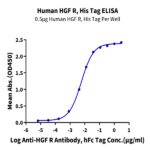 Human HGF R/c-MET Protein BP005396 Syd Labs
