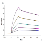 Mouse IgG1 Fc Protein BP005574 Syd Labs