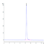 Human CD228/MFI2 Protein BP004042 Syd Labs