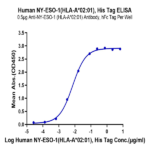 Human HLA-A*02:01&B2M&NY-ESO-1 (SLLMWITQC) Monomer Protein BP003436 Syd Labs