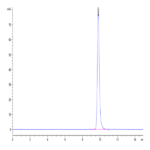 Human HLA-A*02