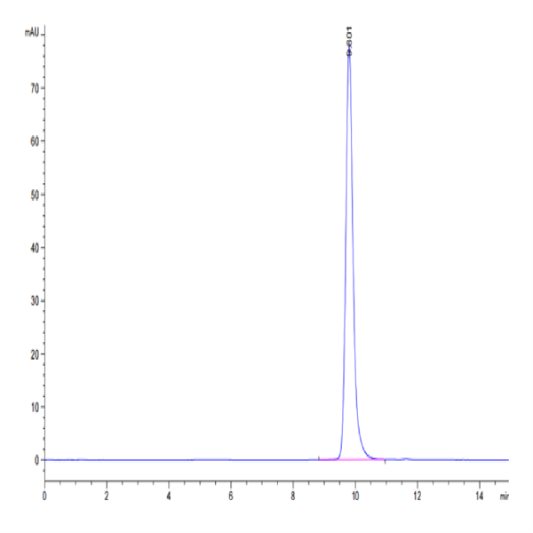 Human HLA-A*02