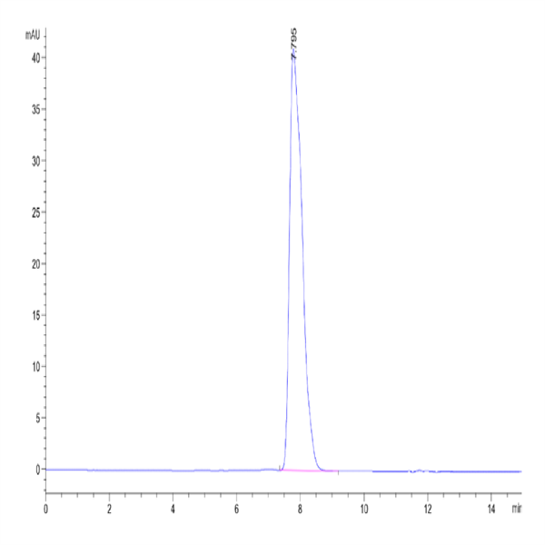 Human HLA-A*02