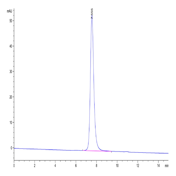 Human HLA-A*02