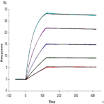 Human HLA-A*02:01&B2M&MAGE-A4 (GVYDGREHTV) Tetramer Protein BP004310 Syd Labs