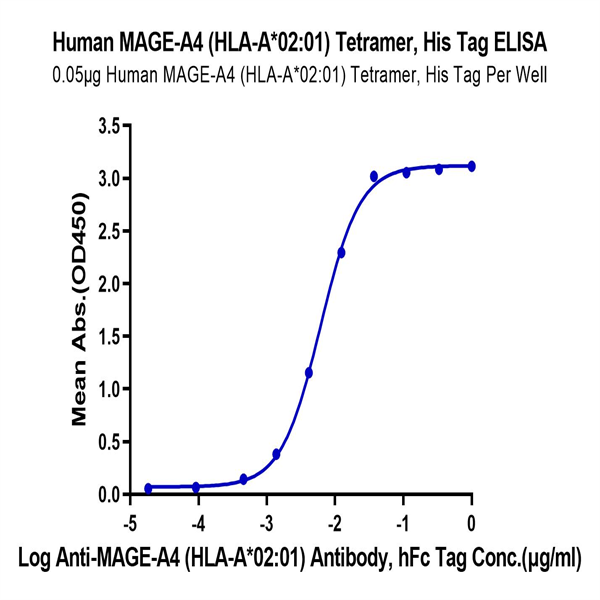 Human HLA-A*02