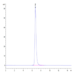 Human HLA-A*02
