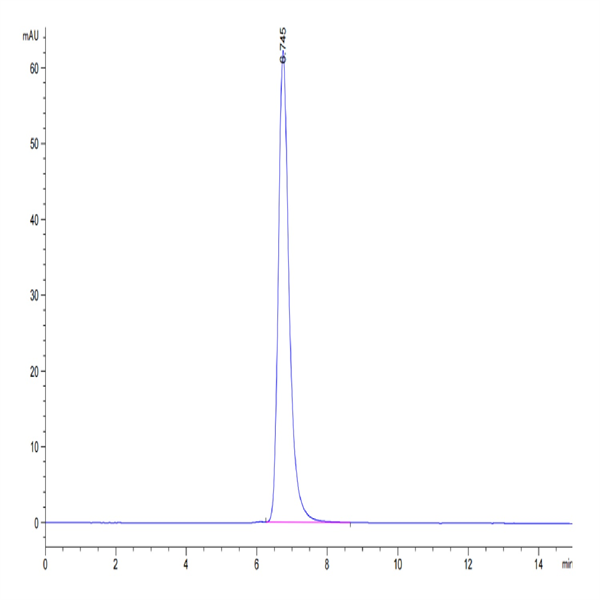 Human HLA-A*02