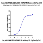 Human HLA-A*02:01&B2M&GP100 (YLEPGPVTA) Monomer Protein BP005412 Syd Labs