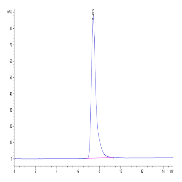 Human HLA-A*02