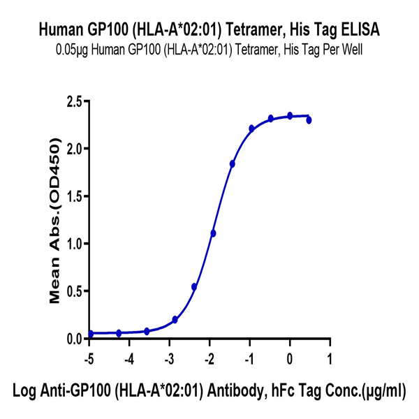 Human HLA-A*02