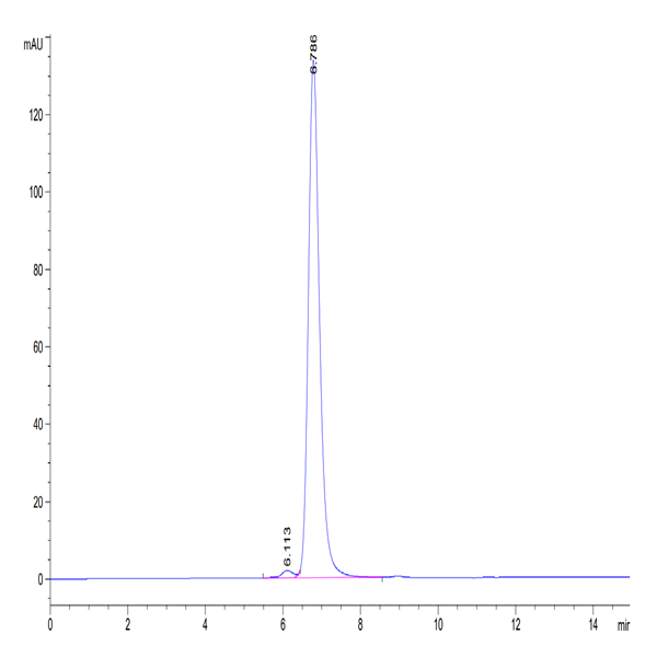 Human HLA-A*02
