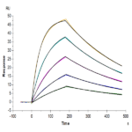 Human HLA-A*02:01&B2M&NY-ESO-1 (SLLMWITQC) Monomer Protein BP005188 Syd Labs