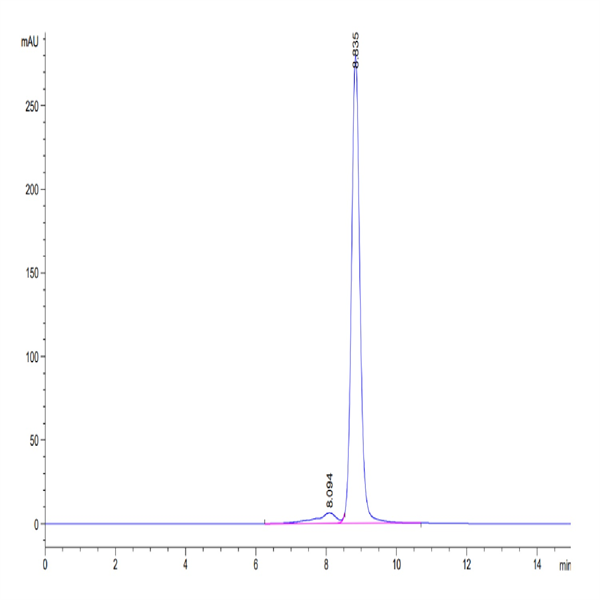 Human HLA-A*02
