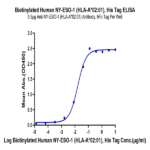 Biotinylated Human HLA-A*02:01&B2M&NY-ESO-1 (SLLMWITQC) Monomer Protein BP004751 Syd Labs