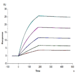 Human HLA-A*02:01&B2M&NY-ESO-1 (SLLMWITQC) Tetramer Protein BP005236 Syd Labs