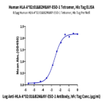 Human HLA-A*02