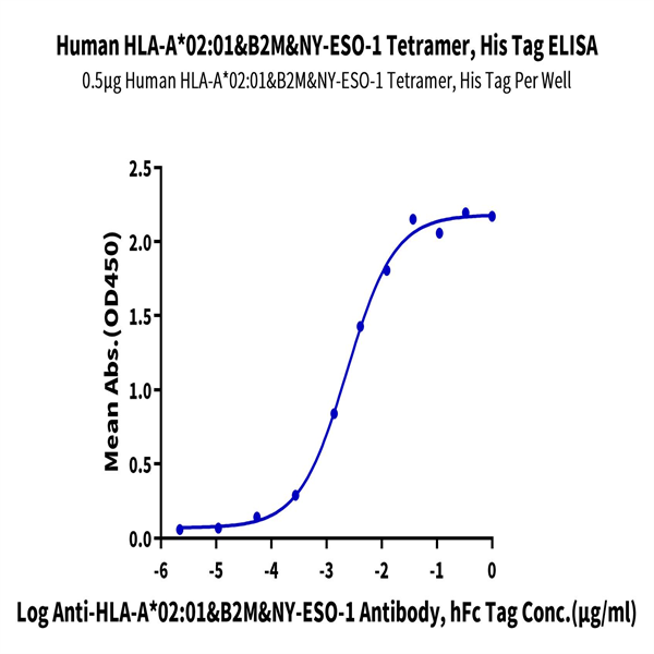 Human HLA-A*02