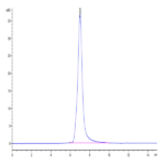 Human HLA-A*02