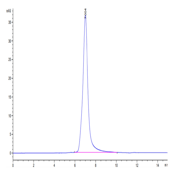 Human HLA-A*02