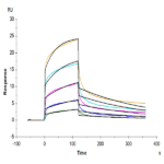 Human HLA-E*01:03&B2M&Peptide (VMAPRTLVL) Tetramer Protein BP005219 Syd Labs