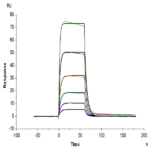 Human HLA-A*02:01&B2M&AFP (FMNKFIYEI) Monomer Protein BP004266 Syd Labs