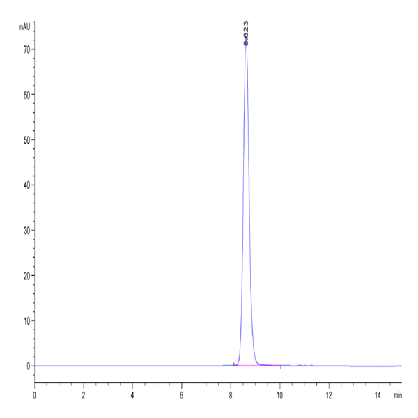 Human HLA-A*02