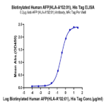 Biotinylated Human HLA-A*02:01&B2M&AFP (FMNKFIYEI) Monomer Protein BP003838 Syd Labs