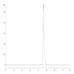 Human HLA-E*01:03&B2M&Peptide (VMAPKTLVL) Monomer Negative Control Protein BP003479 Syd Labs