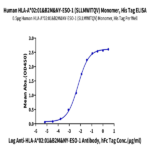 Human HLA-A*02:01&B2M&NY-ESO-1 (SLLMWITQV) Monomer Protein BP004122 Syd Labs