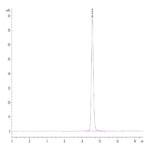 Human HLA-A*02