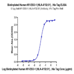 Biotinylated Human HLA-A*02:01&B2M&NY-ESO-1 (SLLMWITQV) Monomer Protein BP004241 Syd Labs