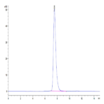 Biotinylated Human HLA-A*02