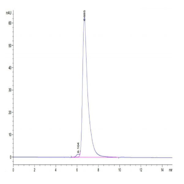 Human HLA-A*02