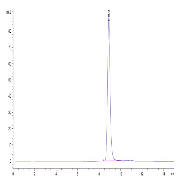 Human HLA-A*02